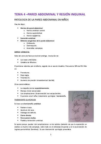 4.-Patologia-quirurgica-de-la-pared-abdominal.pdf