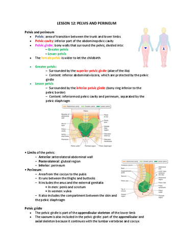 Lesson-12.pdf