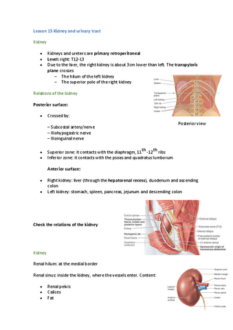 Lesson-15-Kidney-and-urinary-tract.pdf