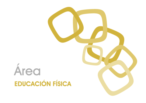 T-4. CURRÍCULUM BOJA.pdf