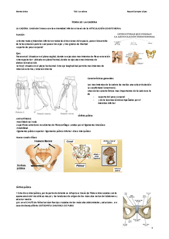 T10-cadera.pdf