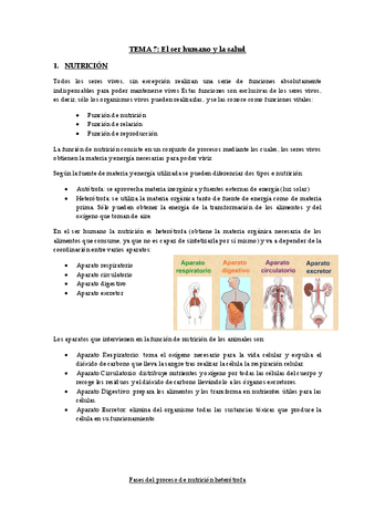 TEMA-7.pdf