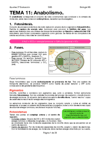 BIOLOGIA-NS-T11-T15.pdf