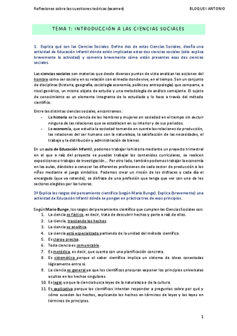 CUESTIONES-TEORICAS-EXAMEN.pdf