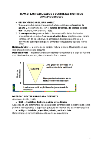 T3-HABILIDADES-Y-DESTREZAS-MOTRICES-CONCEPTOS-BASICOS.pdf