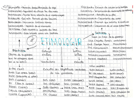 ETIMOLOGIA.pdf