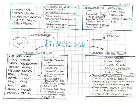 ETIMOLOGIA-DE-SISTEMAS.pdf