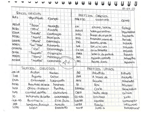 PREFIJOS-Y-SUFIJOS.pdf
