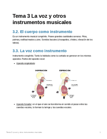 623378bc-6082-4398-9bfe-4b6964240ee2Tema3Lavozyotrosinstrumentosmusicales.pdf