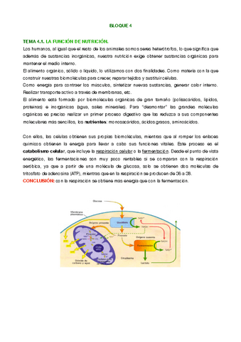 Naturales-T-4.pdf
