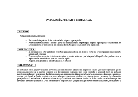 Endodoncia-VII.pdf