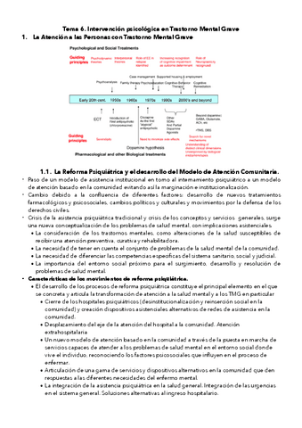 tema-6.1-historia-TMG.pdf