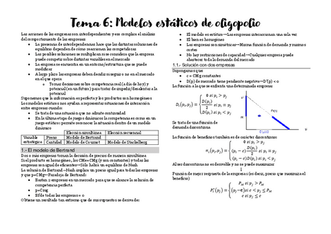 Tema-6-Resumen.pdf