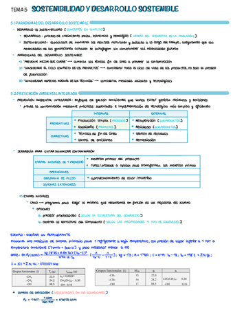 T5-Sostenibilidad-Y-Desarrollo-Sostenible.pdf