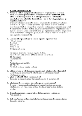 PREGUNTAS-LARGAS.pdf