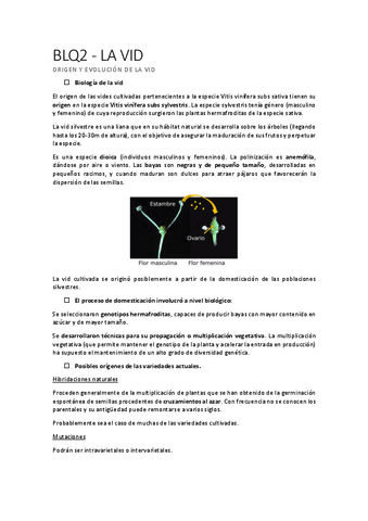 Resumen-BLQ2.pdf
