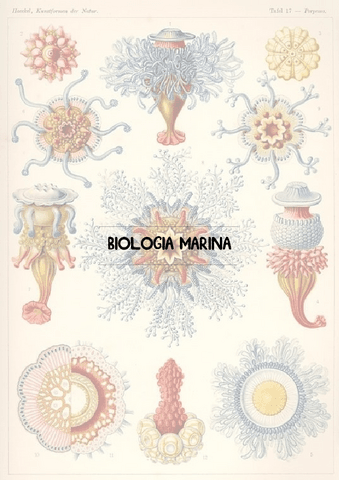 T1Adaptaciones-y-Habitat-Intermareal.pdf