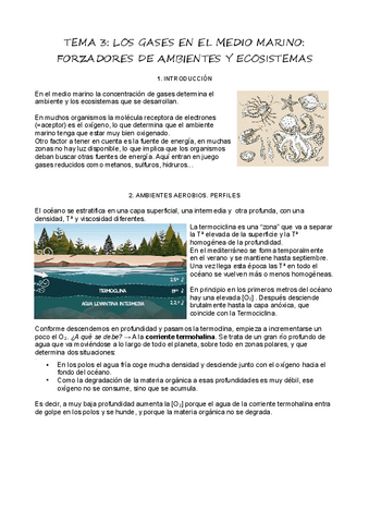 T3Gases-en-el-Medio-Marino.pdf