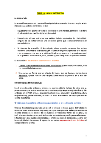 TEMA-10--MEDIDAS-CAUTELARES.pdf