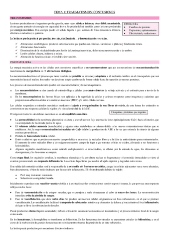 TO.-QUIRURGICO-2022-23-COMPLETO.pdf
