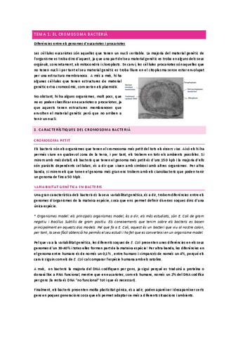 Apunts_Microbiologia-molecular_1er-parcial.pdf