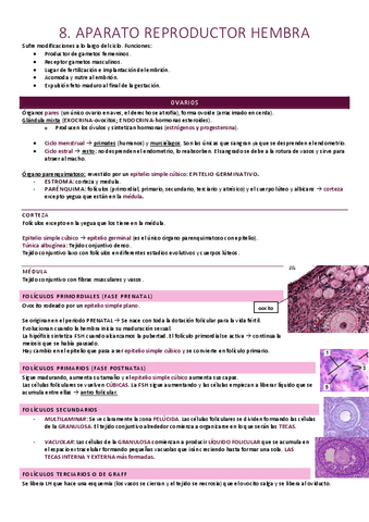 Aparato reproductor hembra.pdf
