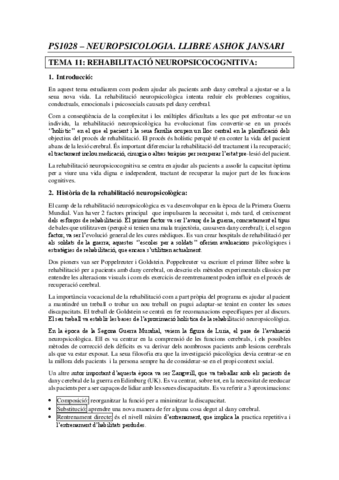 T11.pdf
