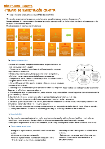 APUNTES-MODULO-2-enfoque-cognitivo.pdf