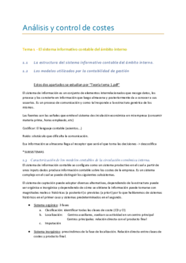 acc tema 1 y 2.pdf