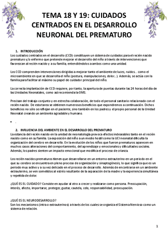 TEMA-18-Y-19.pdf