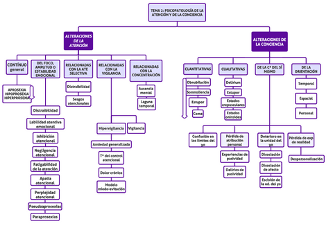 ESQUEMA-TEMA-2-Solo-nombres.pdf