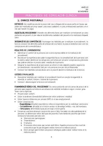 Simulacio-Practiques-amp.pdf