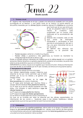 Tema-22.pdf