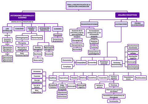 ESQUEMA-TEMA-3-solo-nombres.pdf