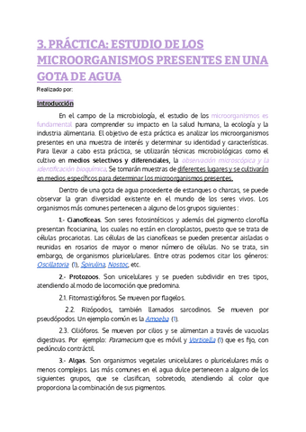 3.-PRACTICA-ESTUDIO-DE-LOS-MICROORGANISMOS-PRESENTES-EN-UNA-GOTA-DE-AGUA.pdf