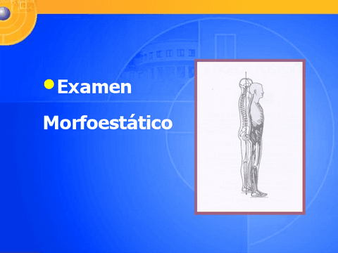 TEMA-678-Examen-Morfoestatico-MMSS-MMII-Y-RAQUIS.pdf