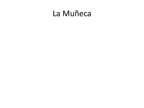 TEMA-14-y-15-Analisis-Biomecanico.-La-Muneca-I-y-II.pdf
