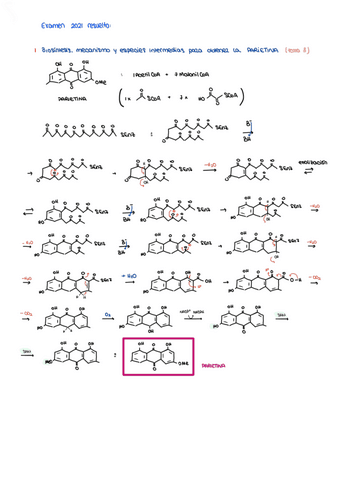 examen-2021-resuelto.pdf