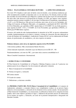 TEMA 1. PLAN DE CONTABILIDAD.pdf
