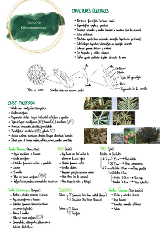 Tema-9--corregido.pdf