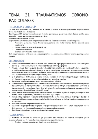 TEMA-21-PTD.pdf