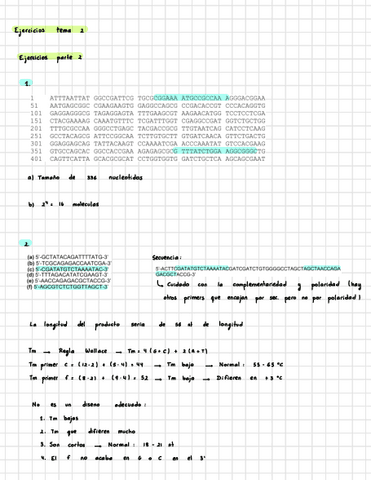 Tema-2-parte-2-Ejercicios-IG.pdf