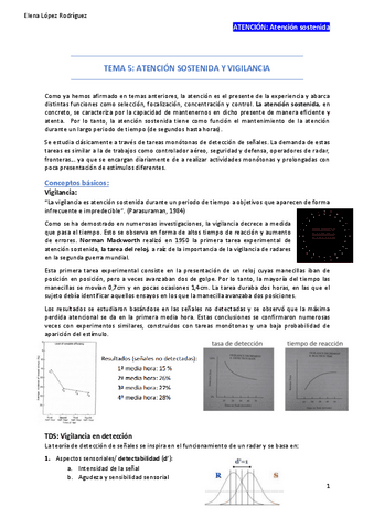 ATENCION-sostenida-t5.pdf