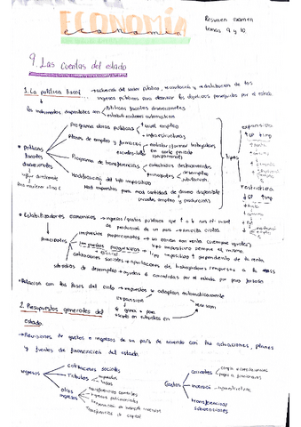 Economia-Resumen-Temas-9 10.pdf