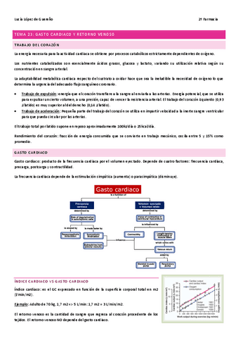 TEMA-23.pdf