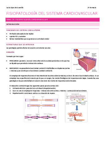 TEMA-25.pdf