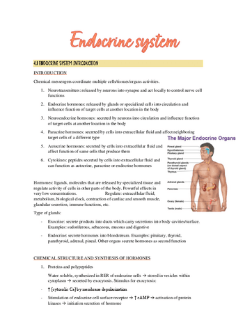 4.-The-endocrine-system.pdf