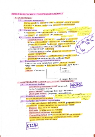 tema-1-economia-1bach-anaaacoloma.pdf