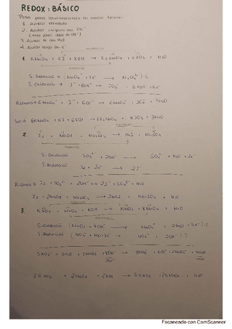 REDOX.pdf