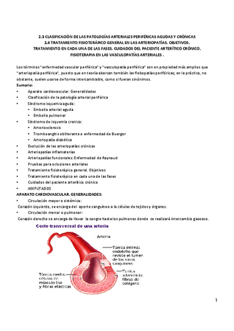 21-y-22.-FISIOTERAPIA-EN-LAS-VASCULOPATIAS-ARTERIALES.pdf